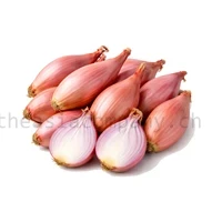 Schalotten rot