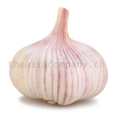 Thaiknoblauch_1