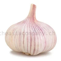 Thaiknoblauch