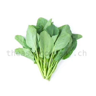 Thaibroccoli klein_1
