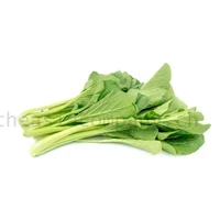 Choi Sum