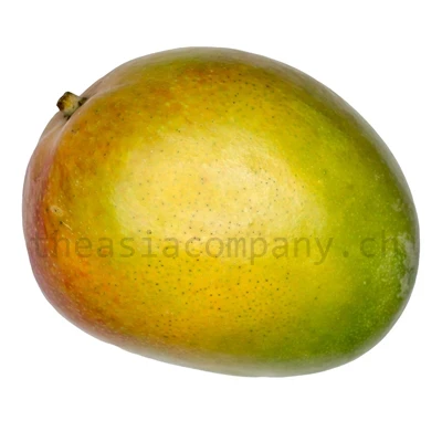 Mango Herkunft Brasilien_1