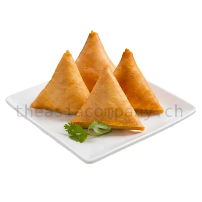 TYJ Samosa_1