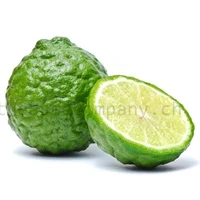 TK Kaffirlimetten